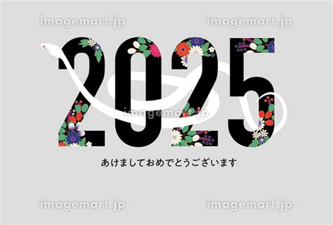 蛇2025